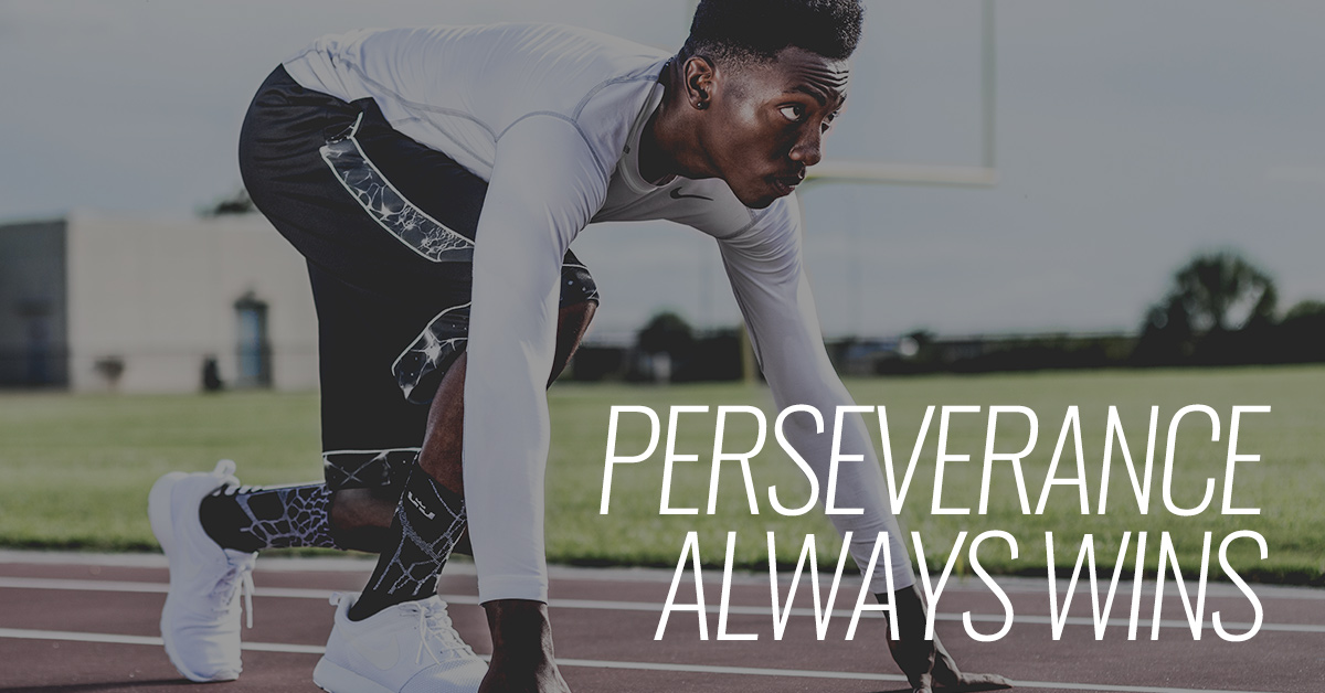 Perseverance Always Wins