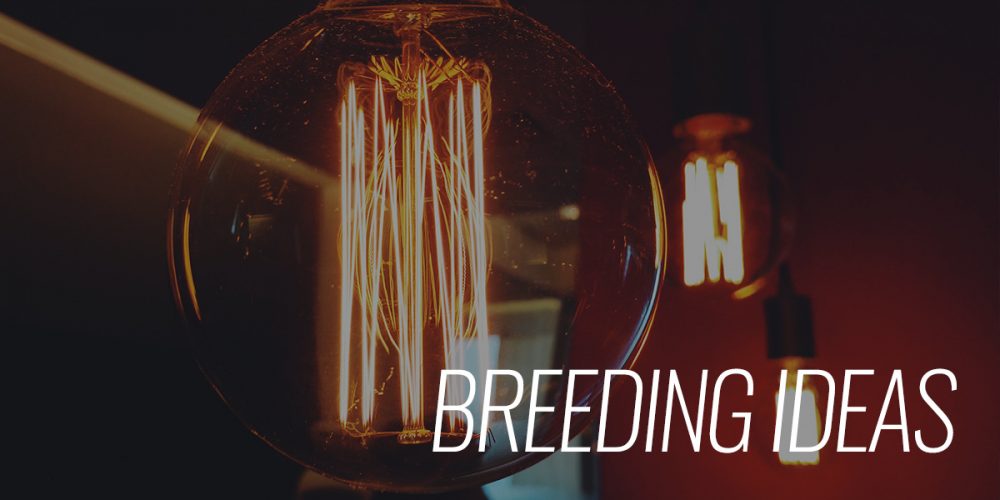 Breeding Ideas